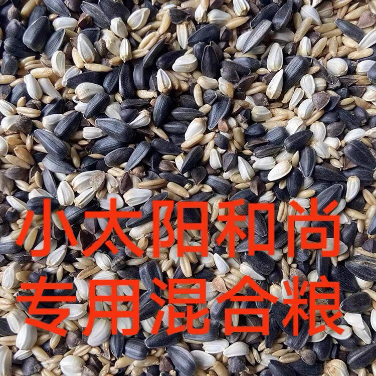 五合一混合鹦鹉鸟粮适合小太阳和尚等中大型鹦鹉营养丰1000g