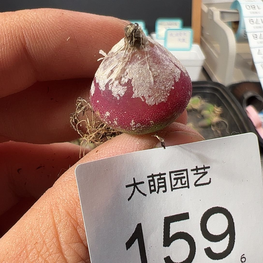 0000159 一物一拍……