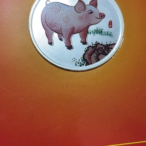 其他普通金属2007彩猪纪念章