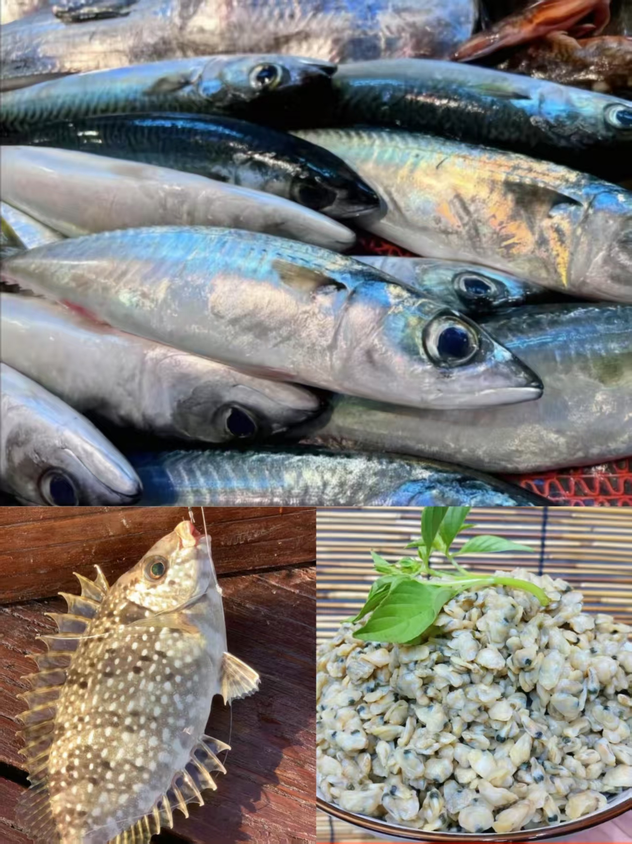 海鲜套餐现配神泉本港海鲜