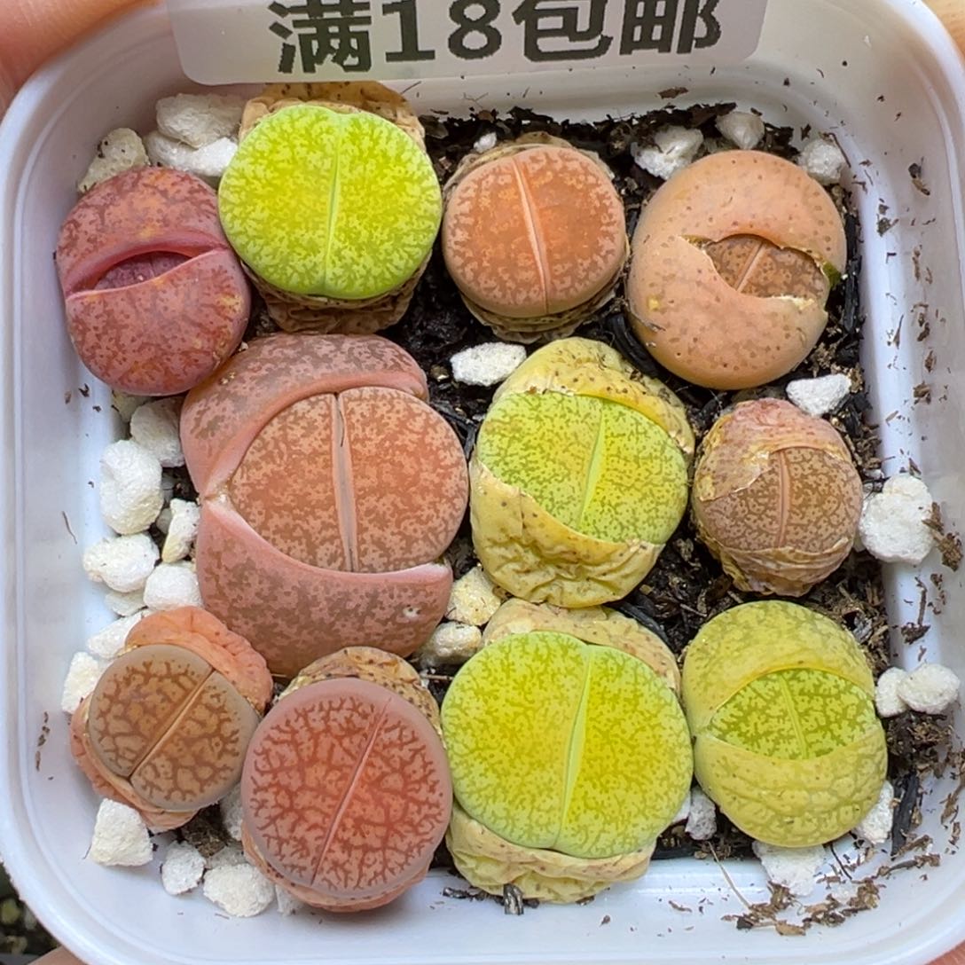 【闪购商品】974……