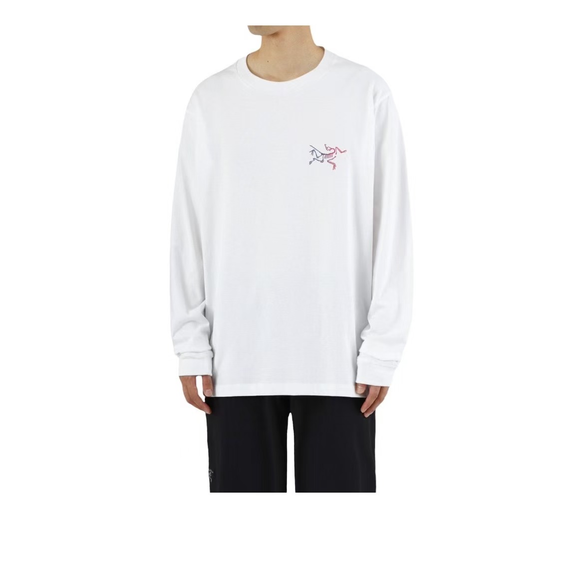 ARC'TERYX/始祖鸟Kragg Cotton Heatmap 彩标长袖T恤