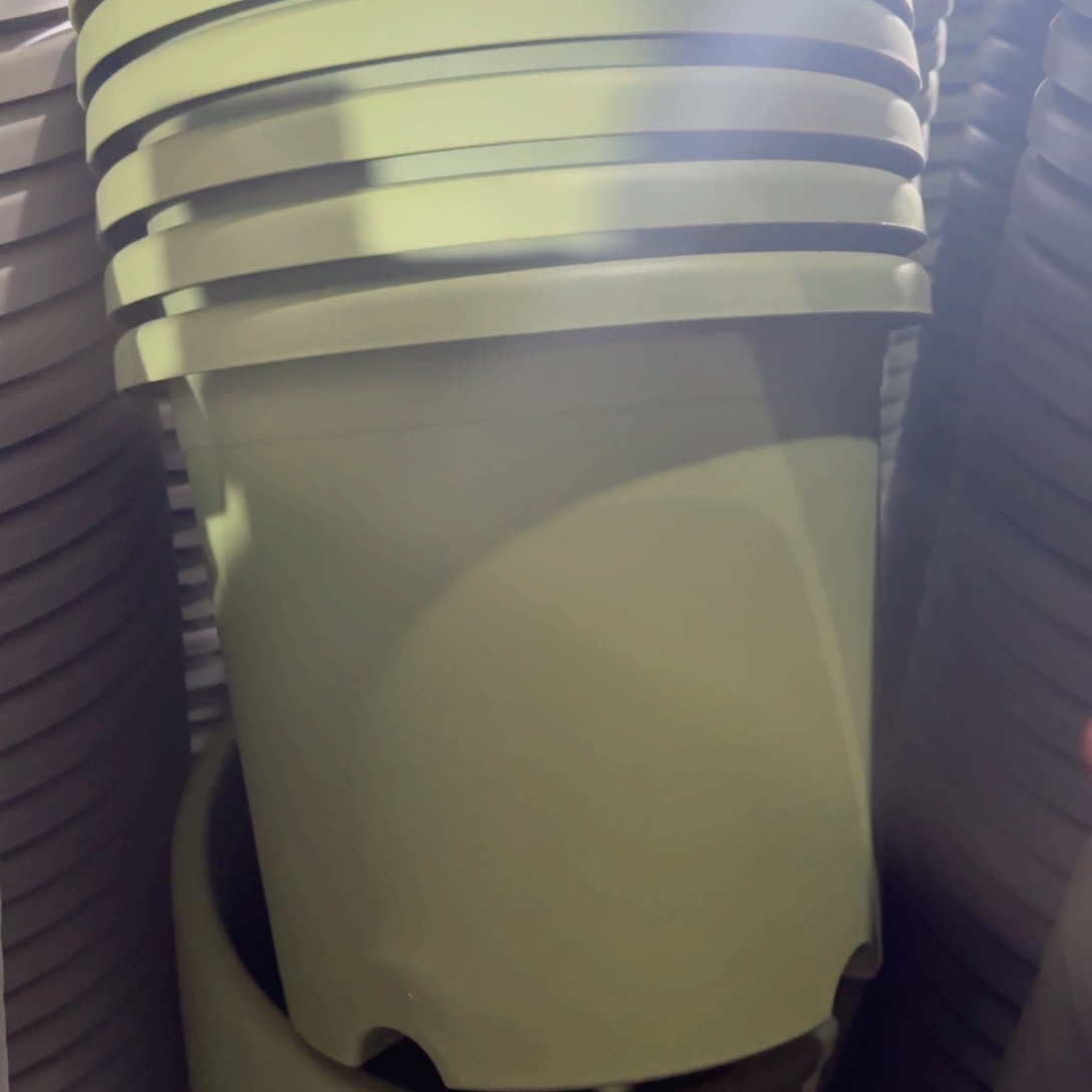 树脂四季盆5#无拖微瑕果绿6