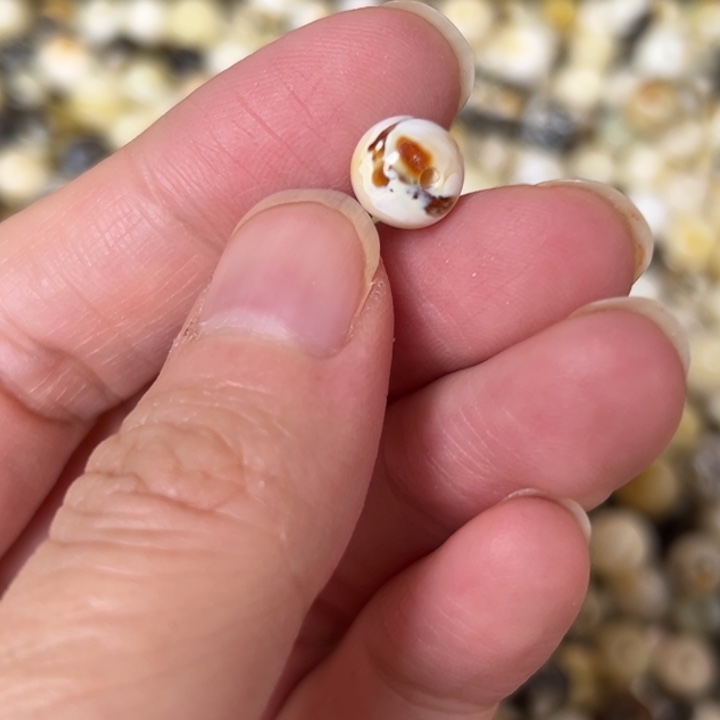 蜜蜡未镶嵌裸石8.2mm一个