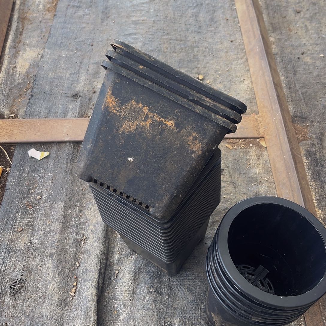 旧口径13公分高11公分20个