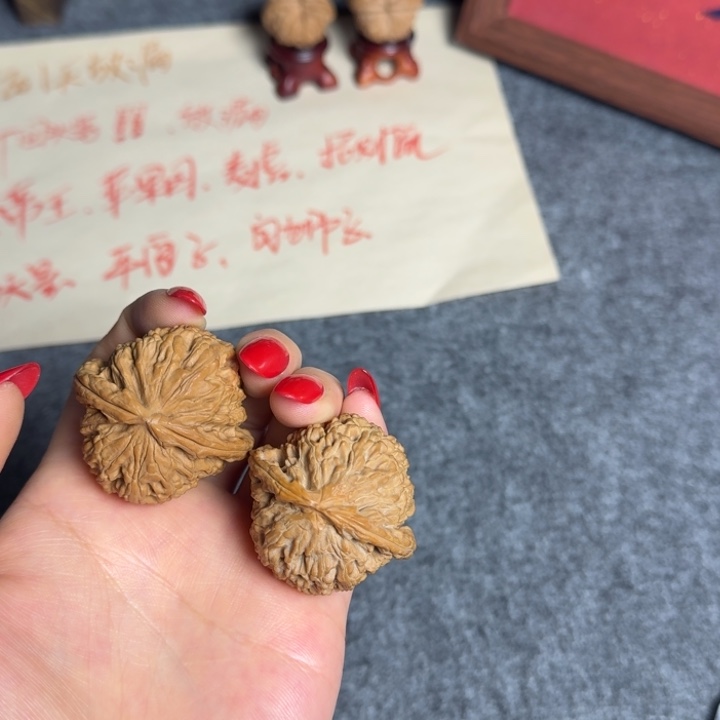 白茬白狮子40尺单只浅修水尖不退换