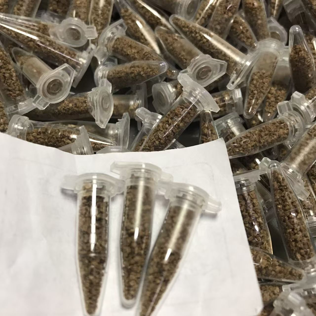 大眼萌蟹饲料拍1发30管适用多种水族宠物中华沙蟹