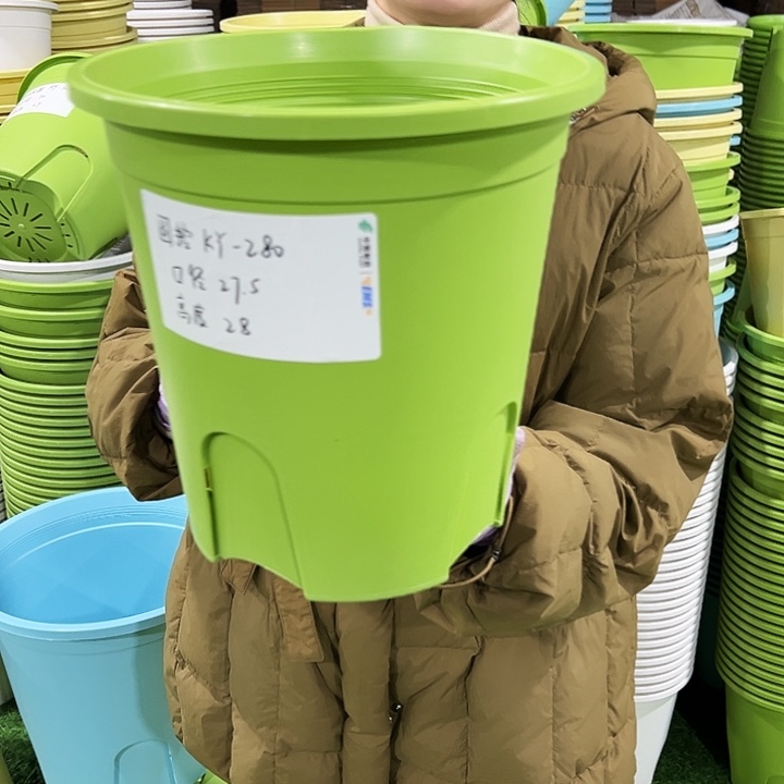 正品圆控根口27高27果绿无托5个