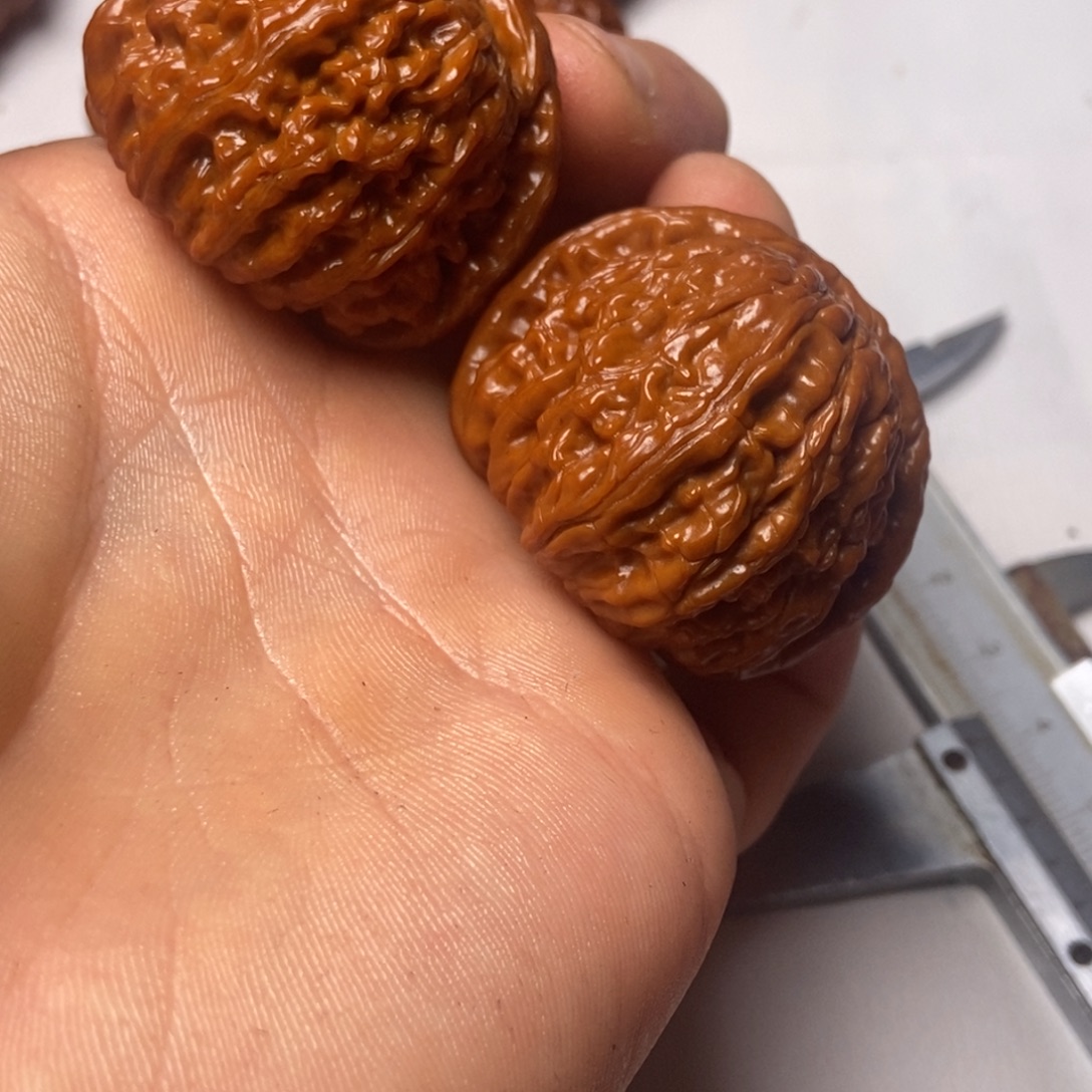 大叶紫檀（黑酸枝木类）