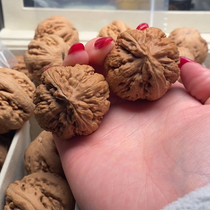 石***头把件文玩核桃霸王龙