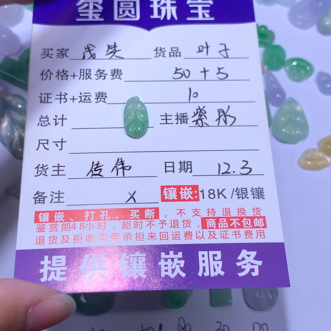 浅***气翡翠未镶嵌颈饰叶子