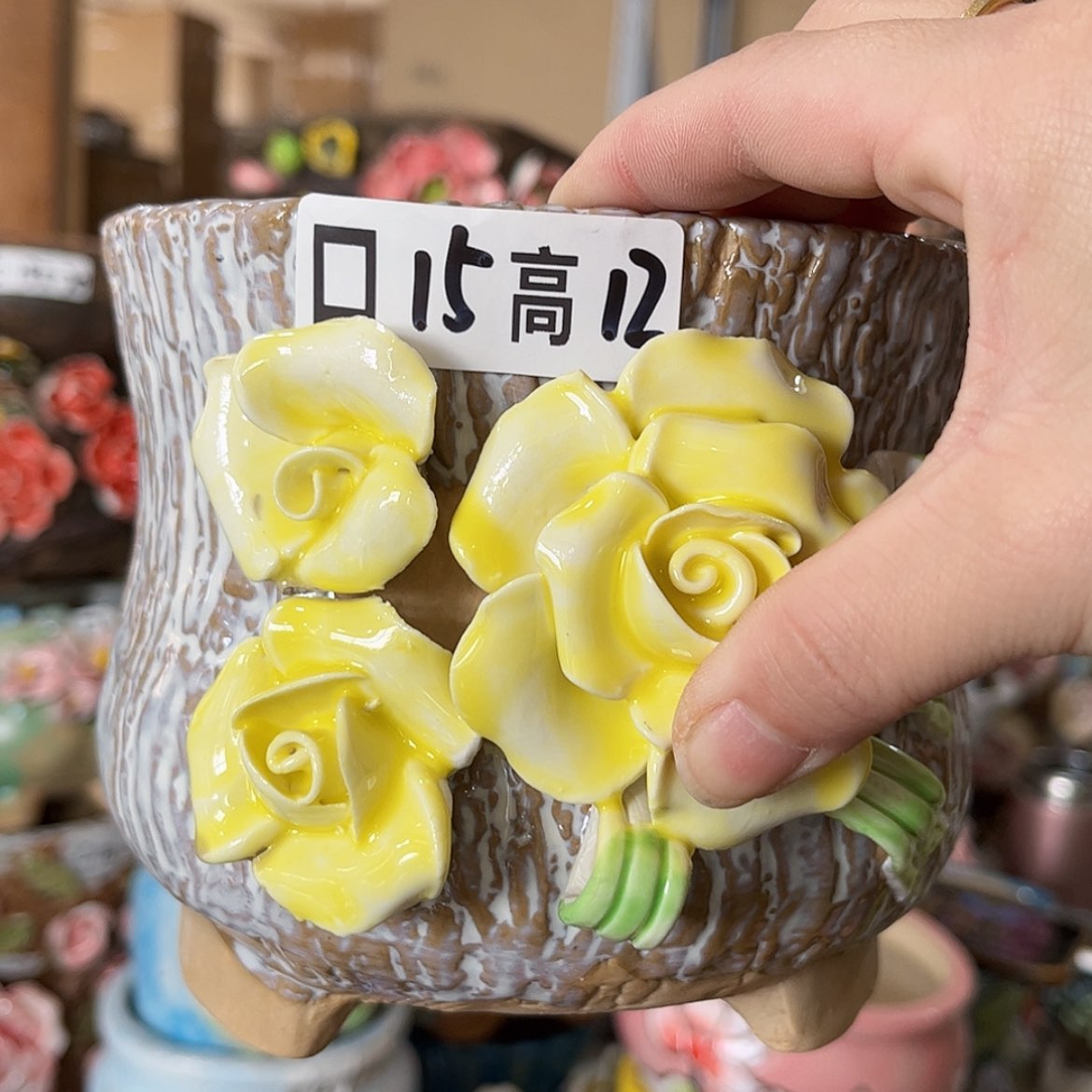 【闪购商品】红陶福利