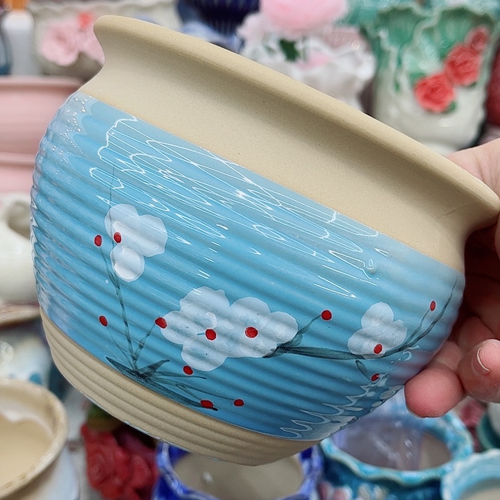 多肉植物陶瓷花盆