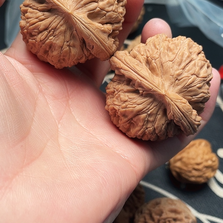 文玩核桃把件水龙文一对