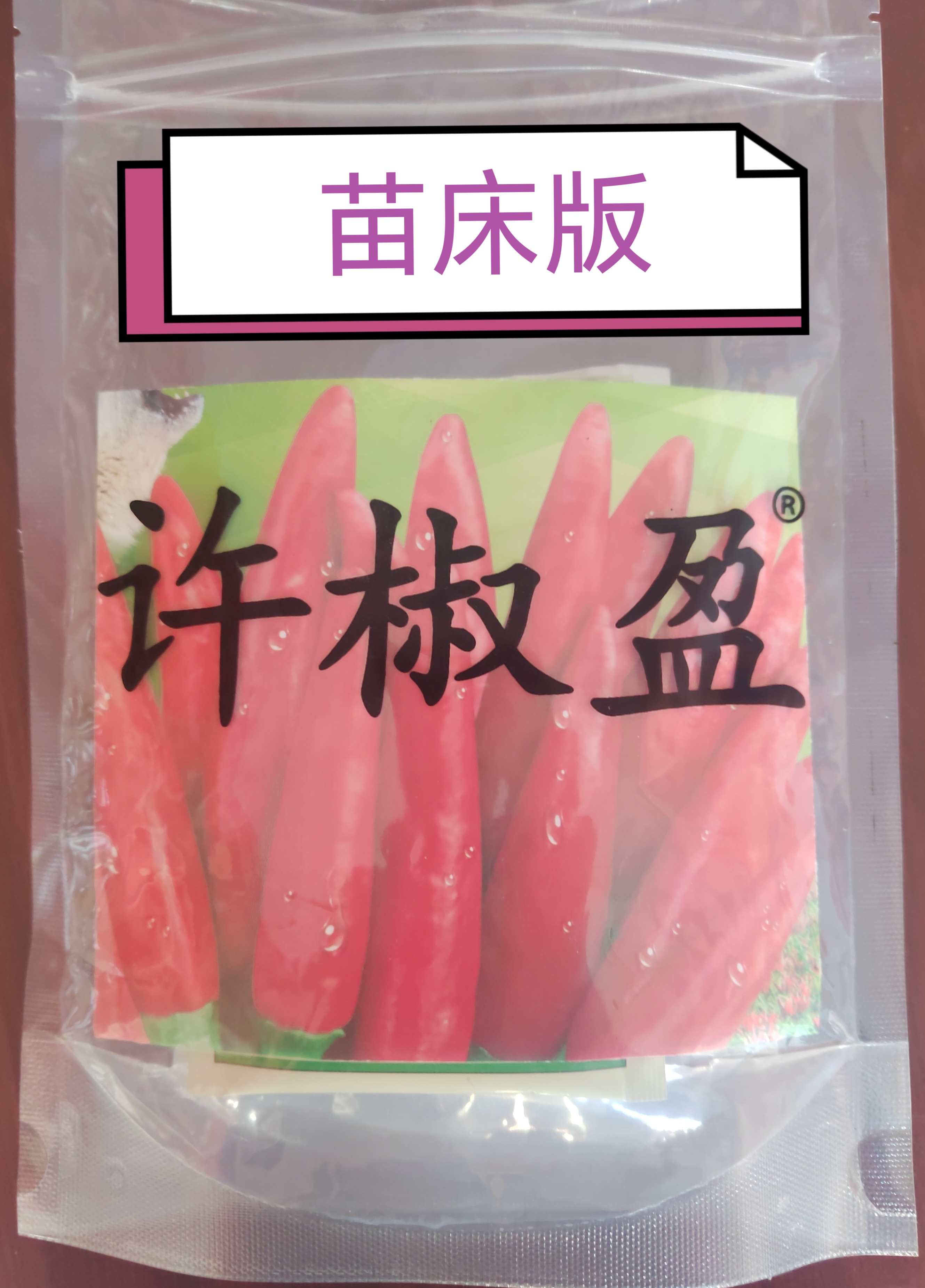 许椒盈：辣椒苗床育苗好帮手，壮苗抗逆不用愁