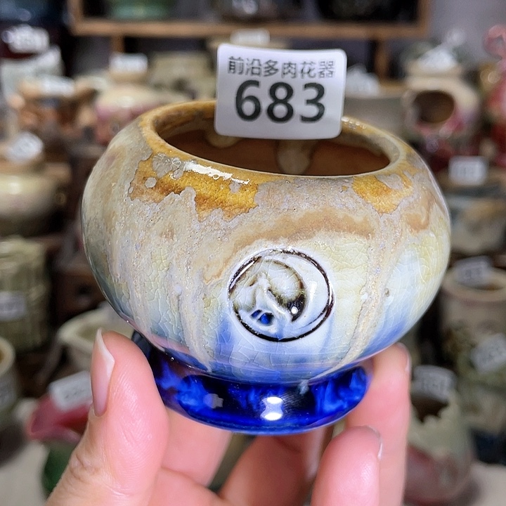 红陶内口径5高度6