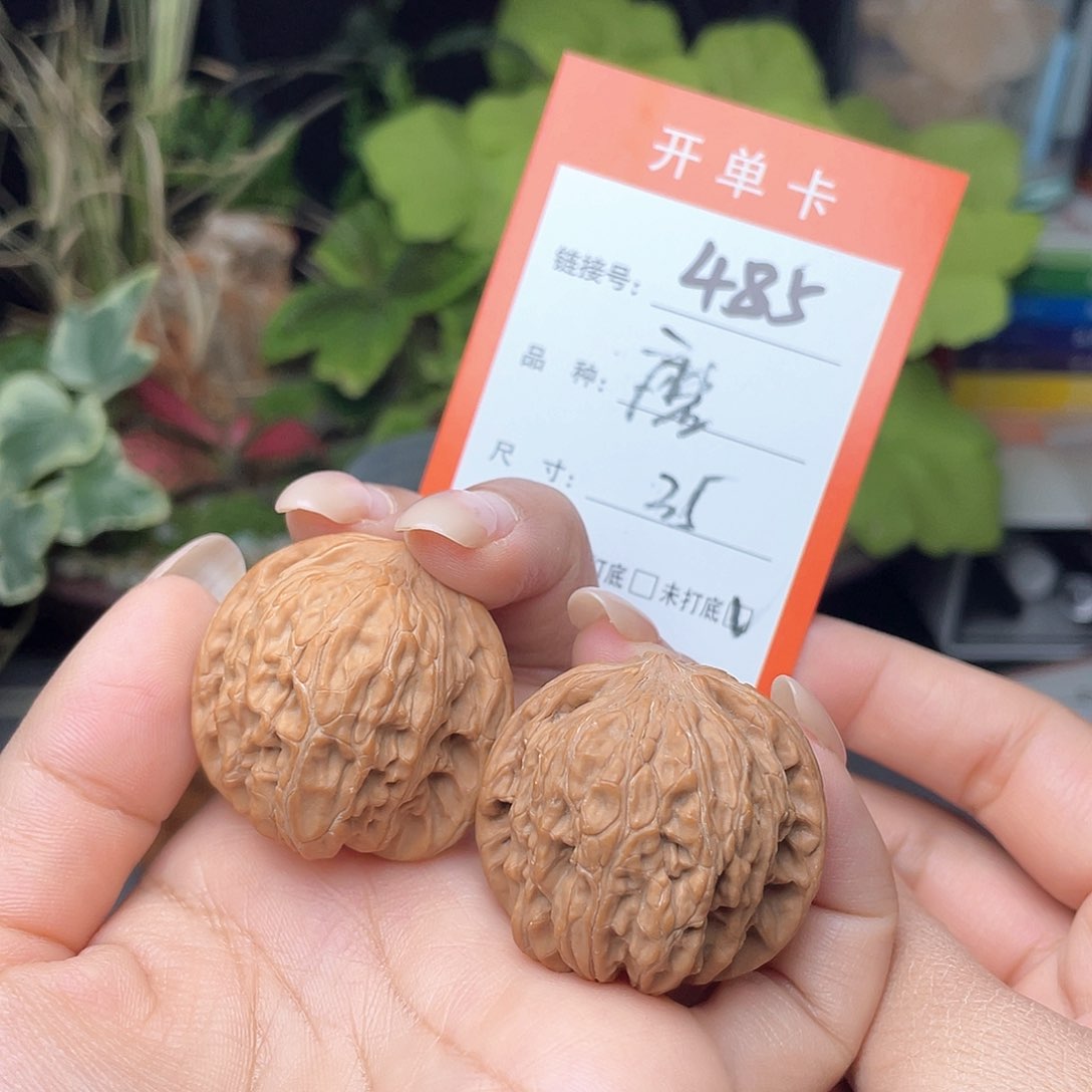 文玩核桃精品对～485