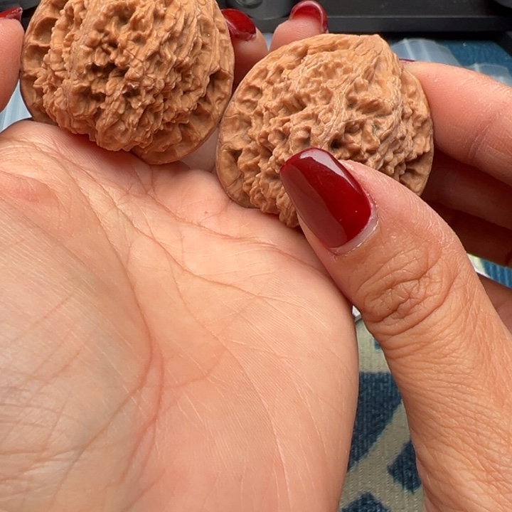 吊坠桃核文玩蚂蚁勾42