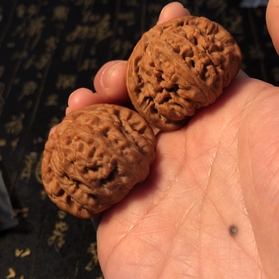 @****把件文玩核桃白狮子40.5mm