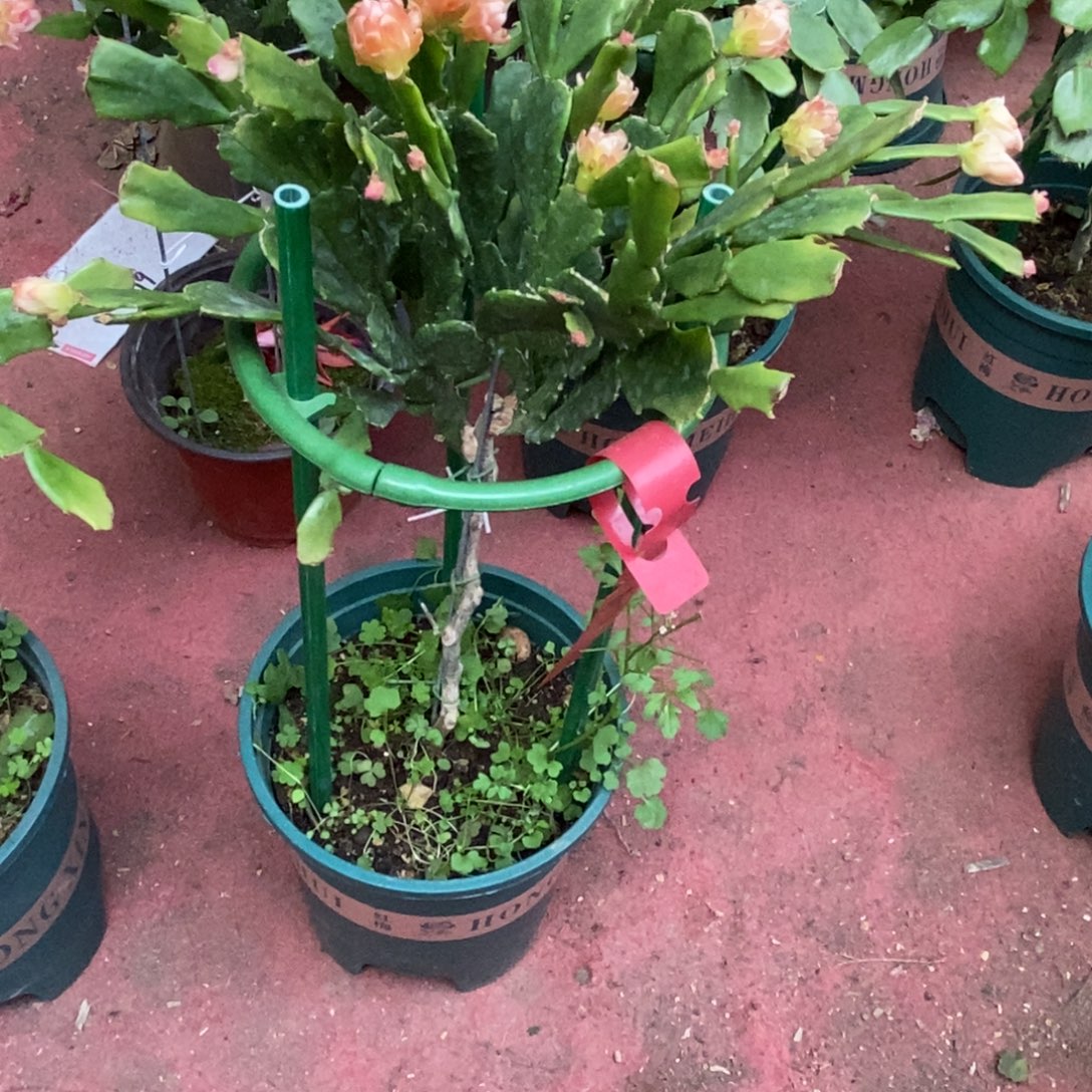 与***行完全开放福利款单层