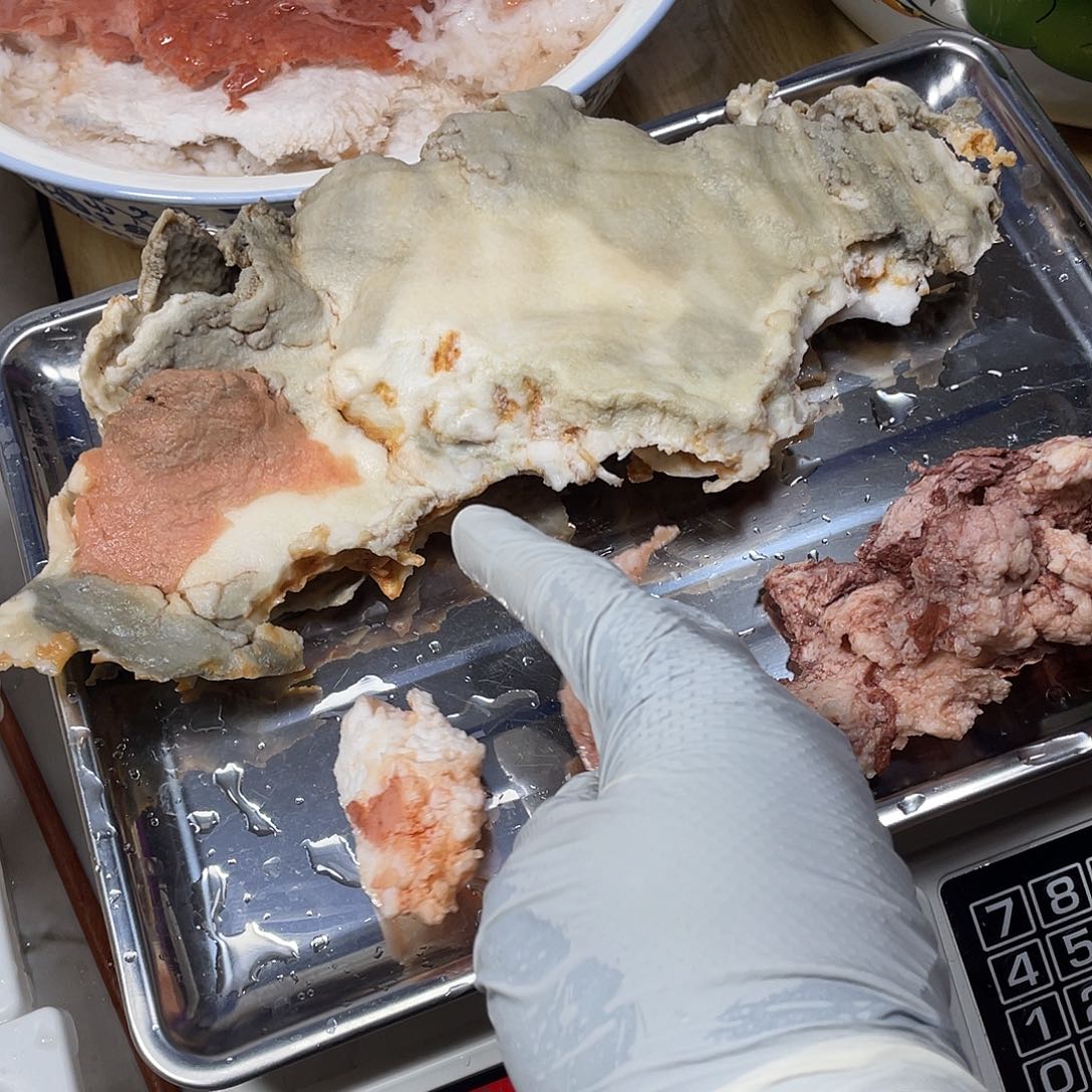 有机玻璃长白山太岁肉灵芝