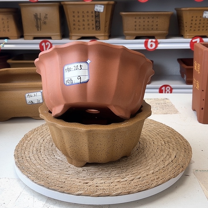 紫砂花盆蛇年大吉