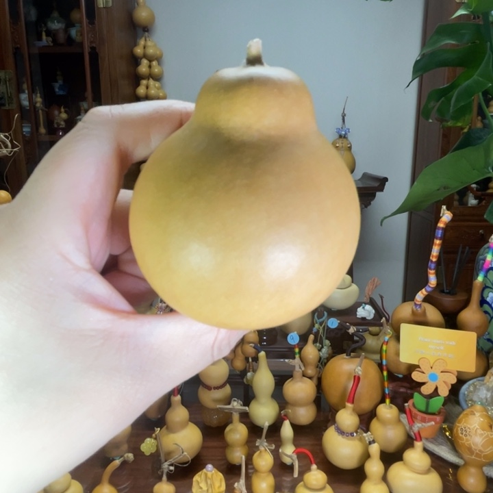 用***0不退不换小胖梨型葫芦