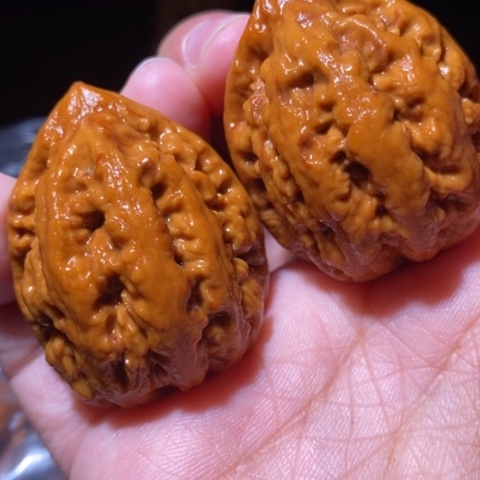 把件文玩核桃东北野生楸子小园 128