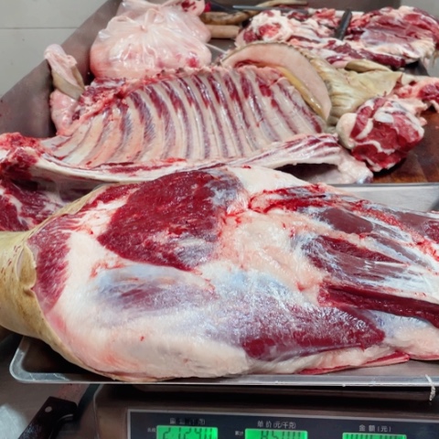 【闪购商品】冷冻保存30天包装河北省?****