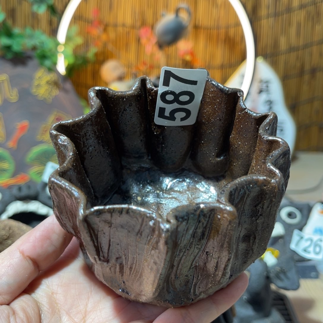 木村信弘柴烧保平