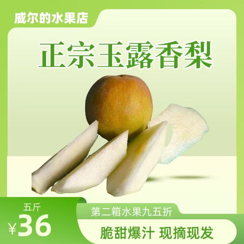 山西运城玉露香梨新鲜现摘脆甜多汁薄皮当季水果