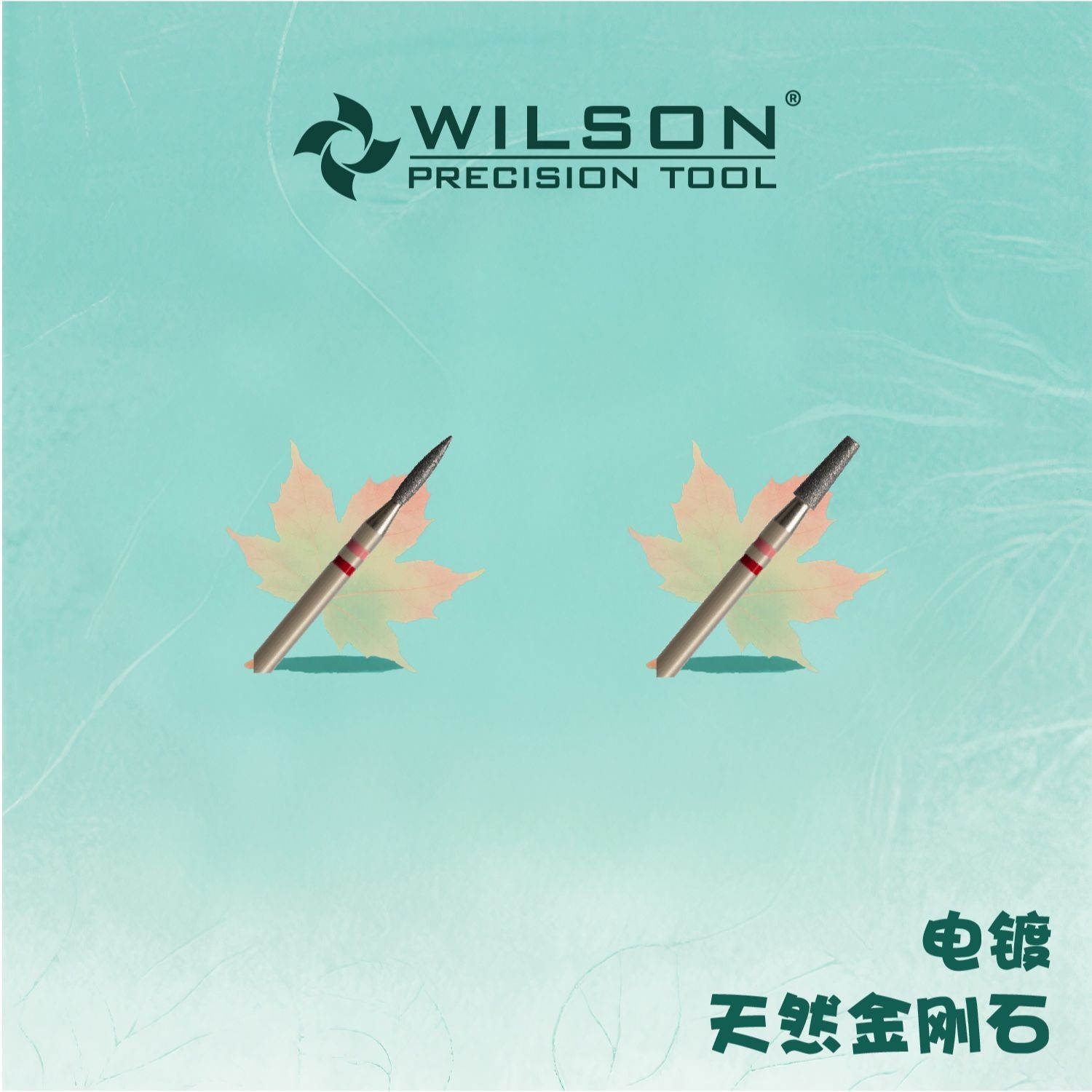 惠而顺惠而顺新升级天然金刚石 前置氮化锆磨头F 美博会打卡同款