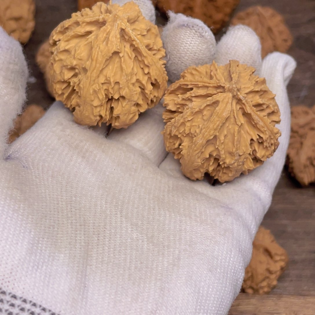 文玩核桃吊坠龍*9 秦岭灯笼野生小众