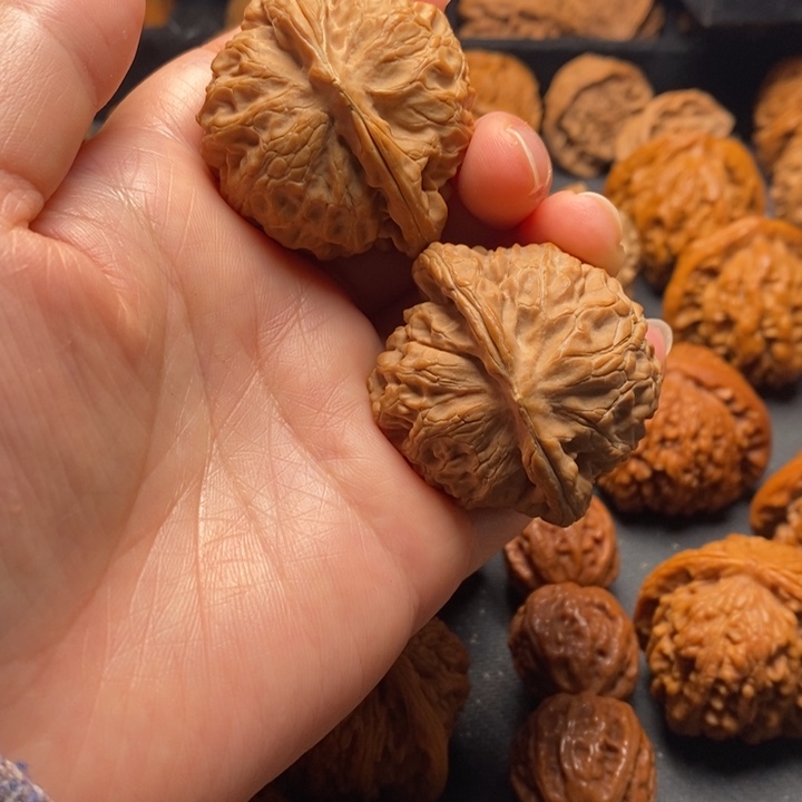 秦岭野生111111111