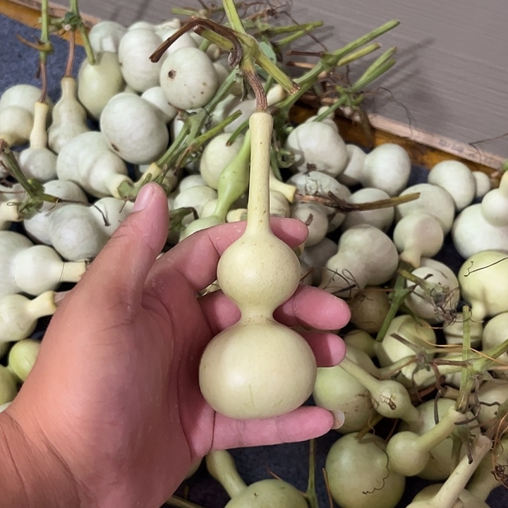 用***4文玩葫芦八宝葫芦