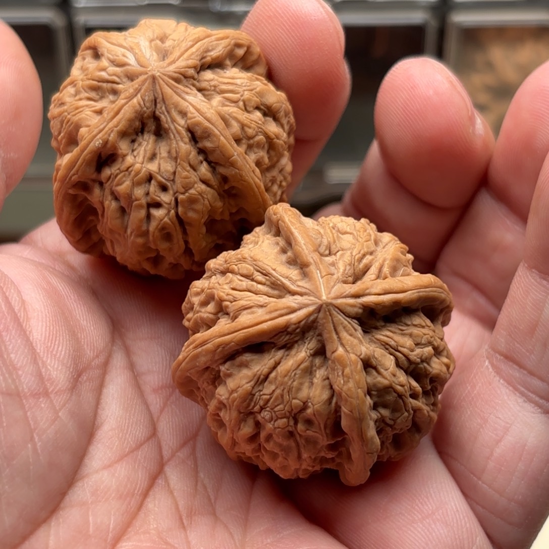 仨***丨文玩核桃把件四棱
