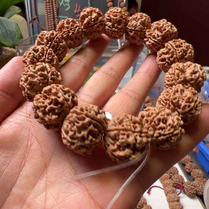 八***财金刚菩提手串24蜂王福利