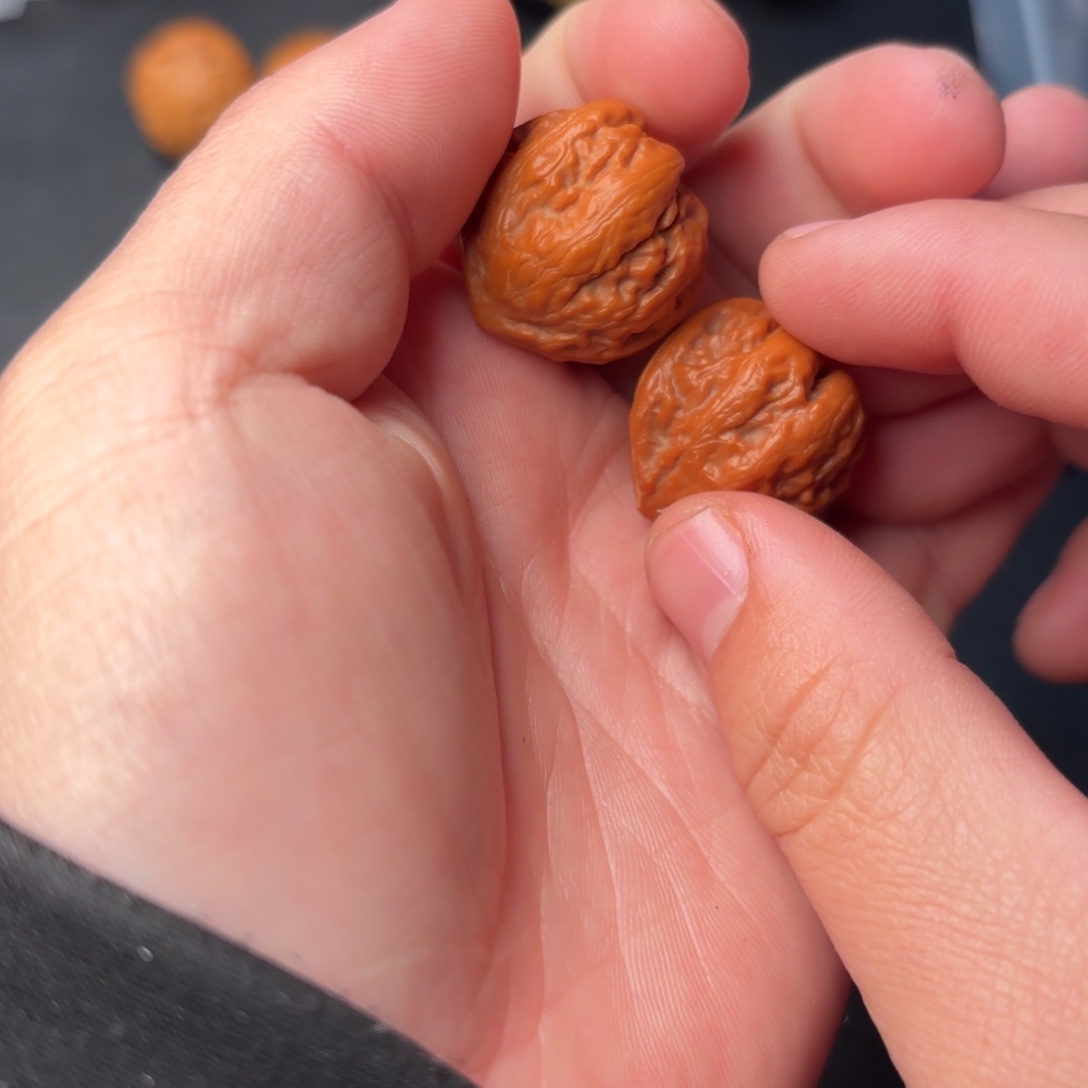 桥***少文玩核桃把件12000000