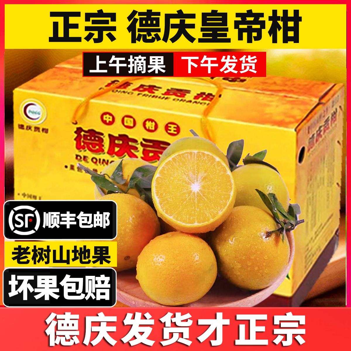 正宗德庆皇帝柑中大果新鲜水果当季整箱果冻橙柑橘蜜桔子橘耙耙柑