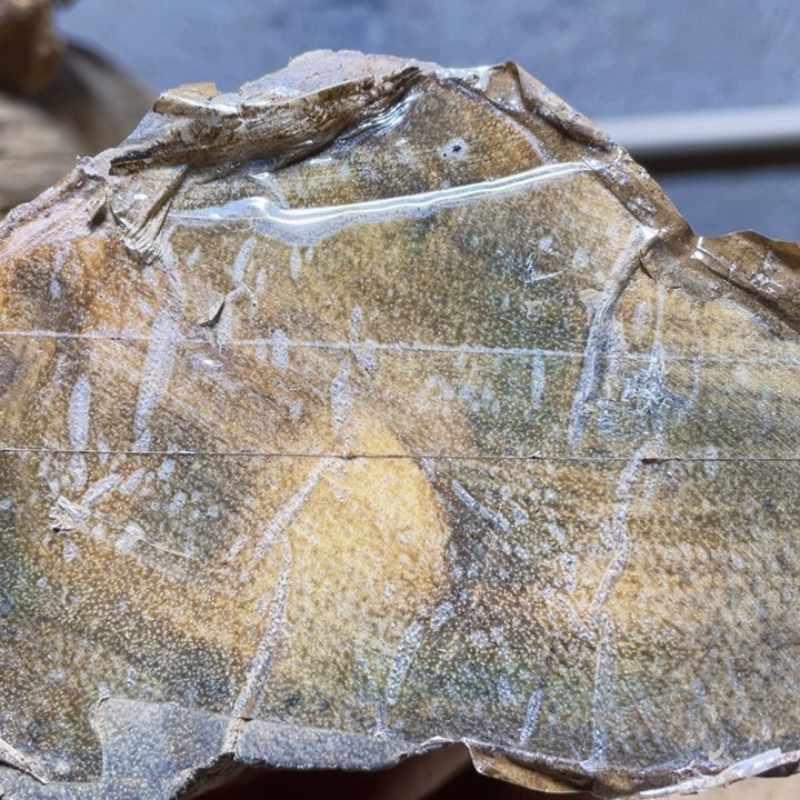 其他贡木定制产品不退不换