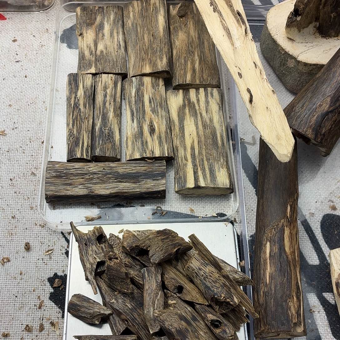 透底绿开播福利50克