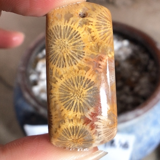 硅化玉吊坠未镶嵌