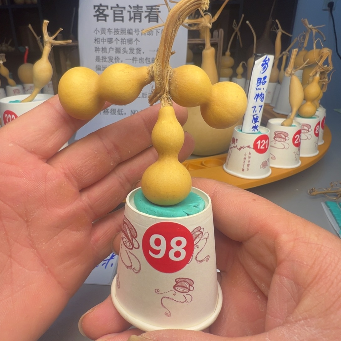 闪电购自助下单编号98