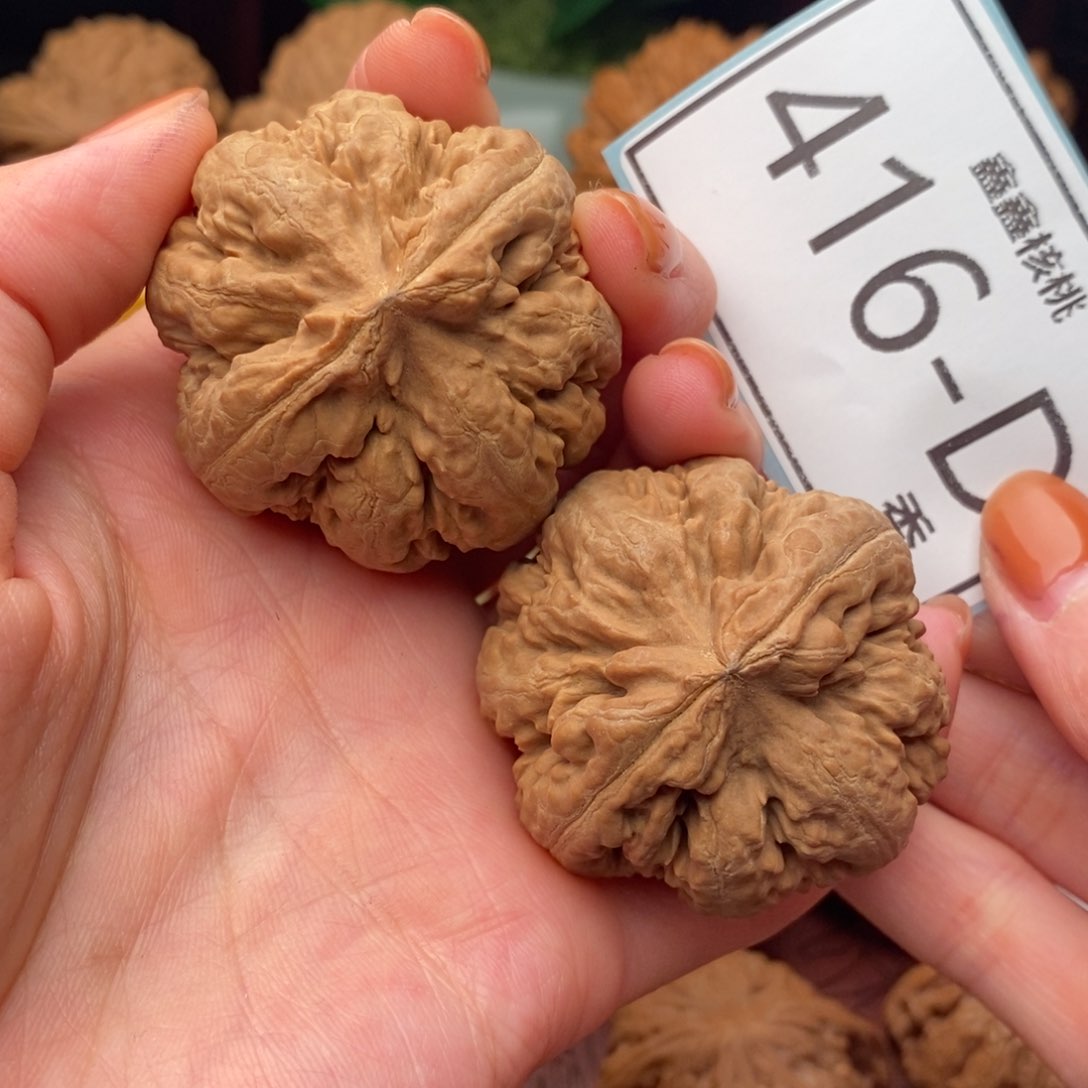 文玩核桃把件霸王龙43