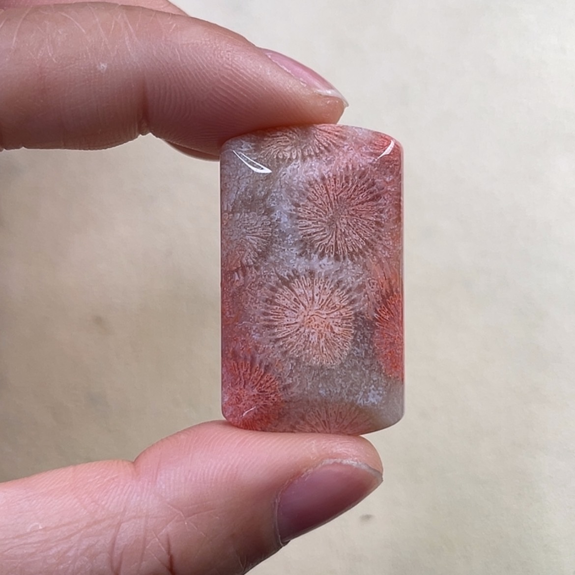 【闪购商品】硅化玉吊坠(赠链)未镶嵌