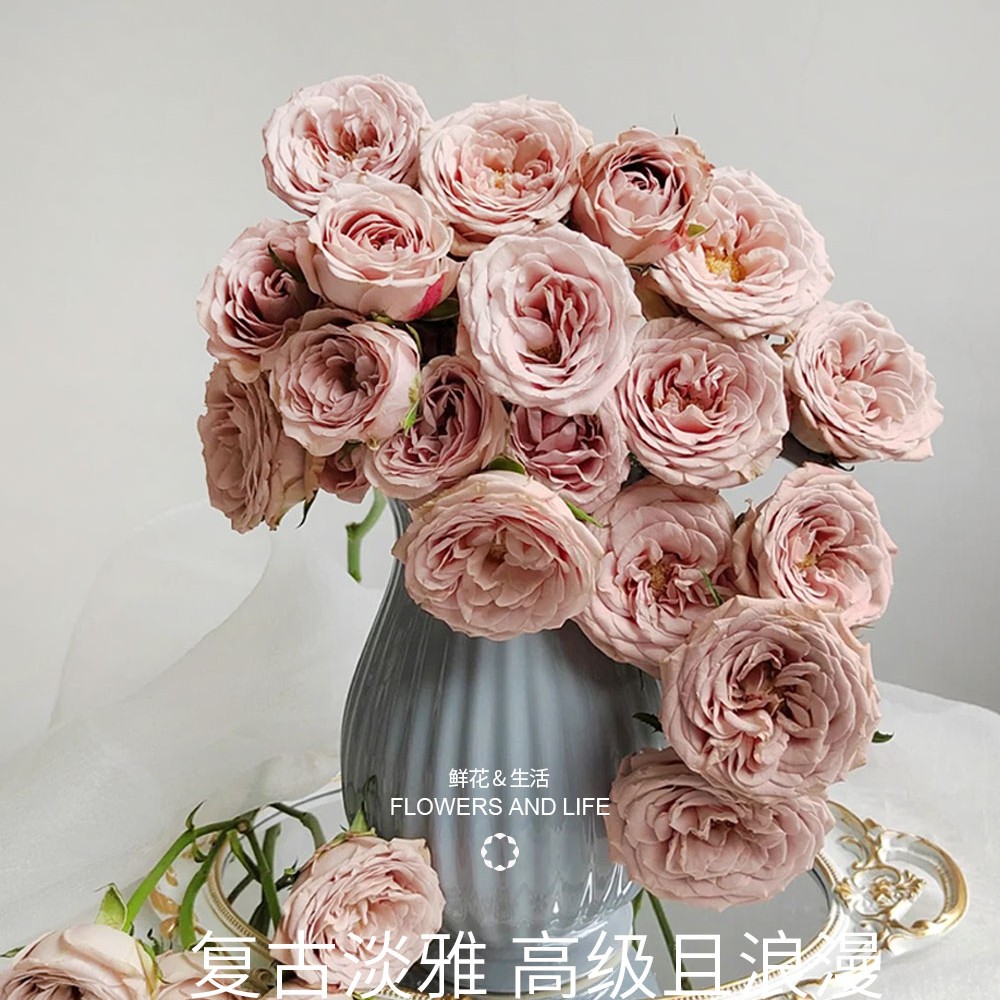 《卡布奇诺》全场鲜花两单送配草三单送花瓶 拒收不退款