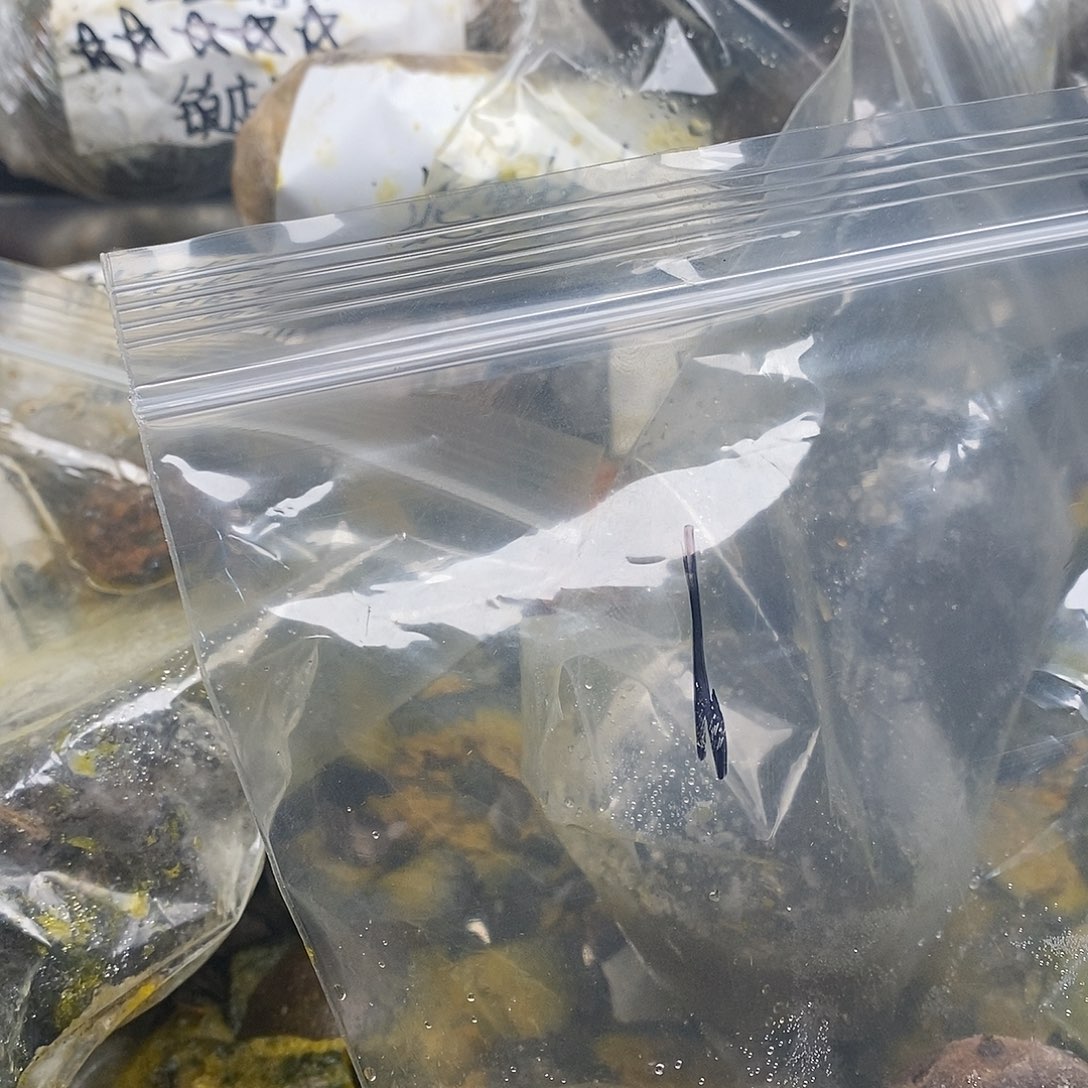 熊***干后很快就斤斤计较姐姐