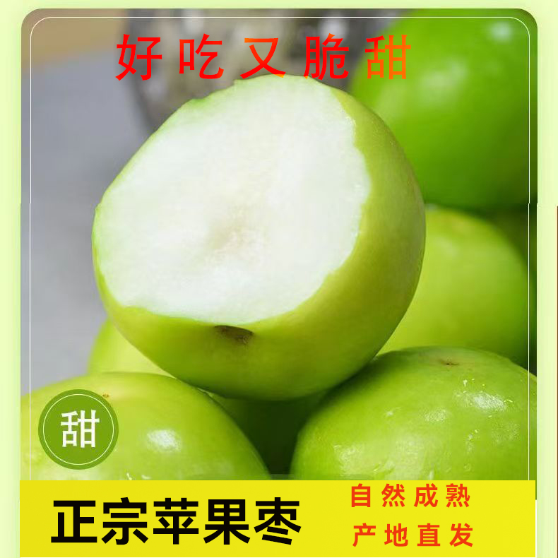 正宗苹果枣产地直发3斤5斤脆甜多汁牛奶青枣新鲜现摘
