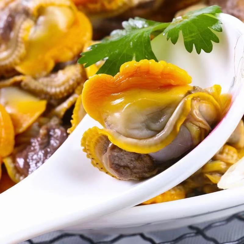 丹东东港新鲜赤贝肉 毛蚬子肉 无沙 五斤顺丰包邮