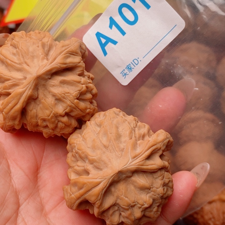 龙鼎50尺全品101号